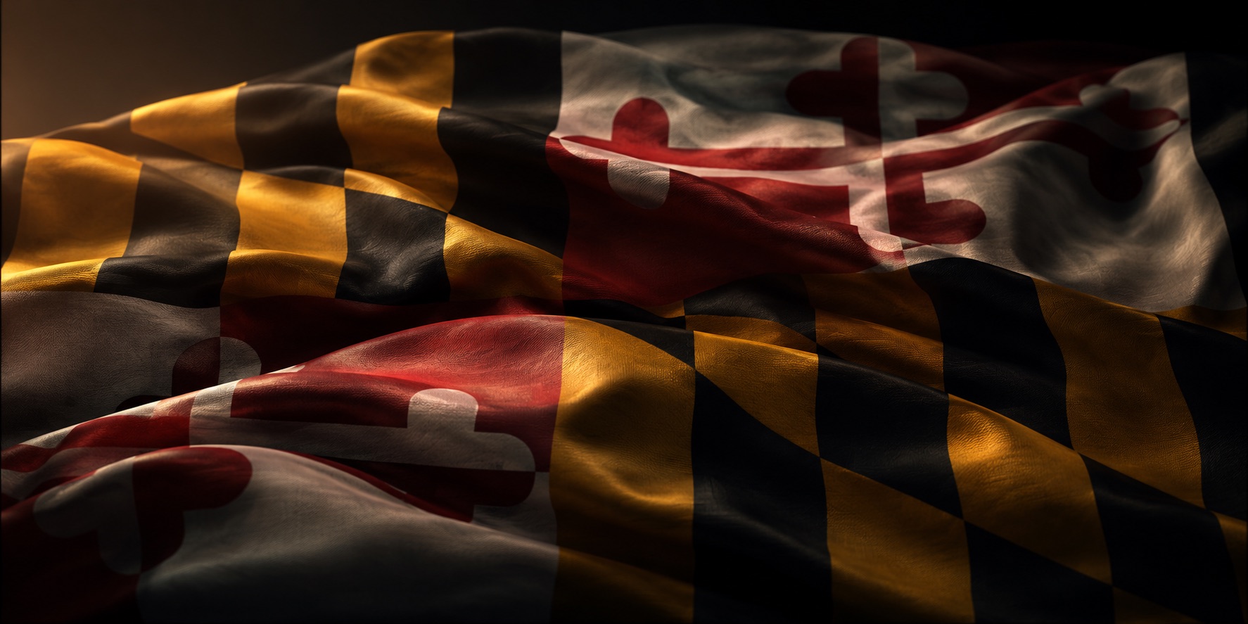 Maryland state flag